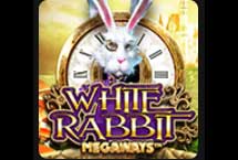 White Rabbit V4 DNT