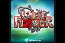 Wild Flower V1 DNT