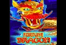 Fortune Dragon