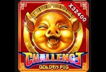 Challenge-Golden Pig